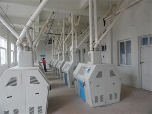 120TPD Flour Milling Plant